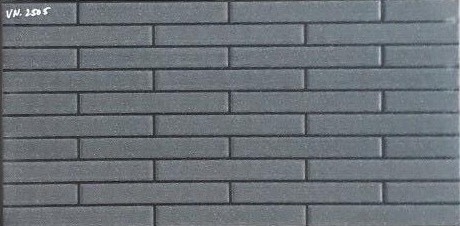 Gạch ốp VN2505