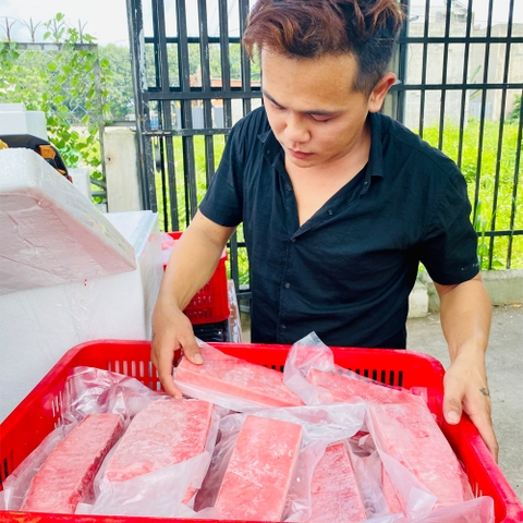 Cá Ngừ Saku
