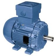 Động cơ điện phòng chống cháy nổ