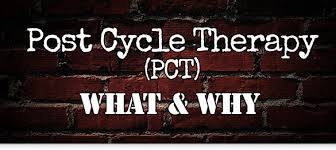 Post Cycle Therapy (PCT)