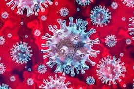 Virus là gì? Tìm hiểu cách diệt virus và phòng ngừa bệnh