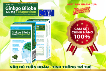Vitaday Ginkgo Biloba – Lựa Chọn Nguồn Gốc Rõ Ràng Cho Người Quan Tâm Đến Sức Khỏe Não Bộ