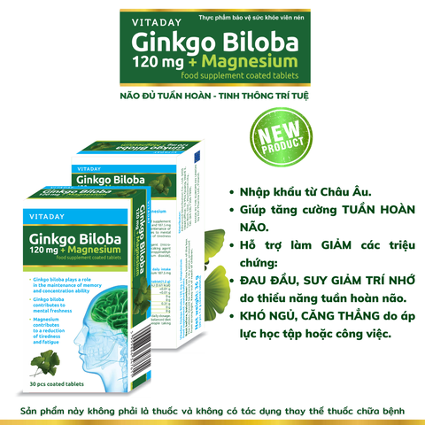 Hộp 30 viên uống Vitaday Ginkgo Biloba 120mg + Magnesium - HÀNG NHẬP KHẨU
