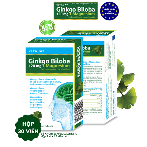COMBO 3 HỘP x 30 viên Vitaday Ginkgo Biloba 120mg + Magnesium - HÀNG NHẬP KHẨU