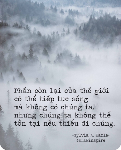 Xu hướng sử dụng sản phẩm xanh – sạch để bảo vệ môi trường