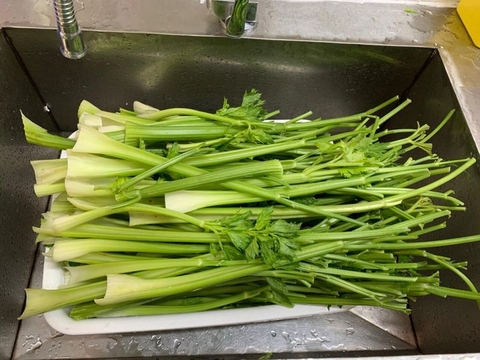 Cần tây sơ chế