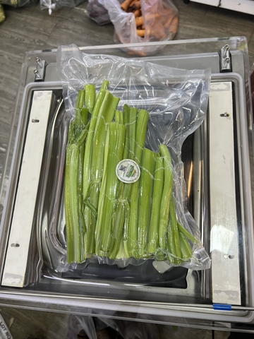 Cần sơ chế hút chân không