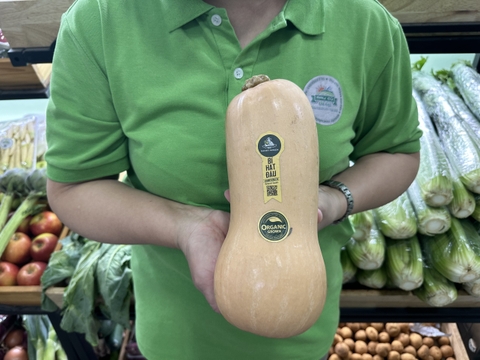 Bí Đỏ Hạt Đậu