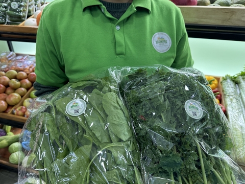 Cải xoăn ( Kale )