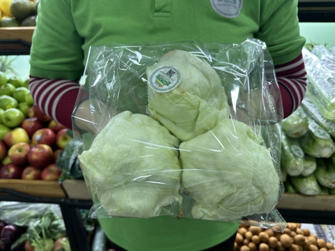 Xà lách Mỹ ( ICEBERG )