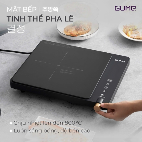 Bếp Từ Đơn Gume GIC Lite 01