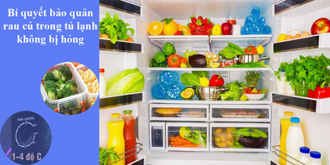 Bí quyết bảo quản rau trong tủ lạnh được lâu không bị hỏng