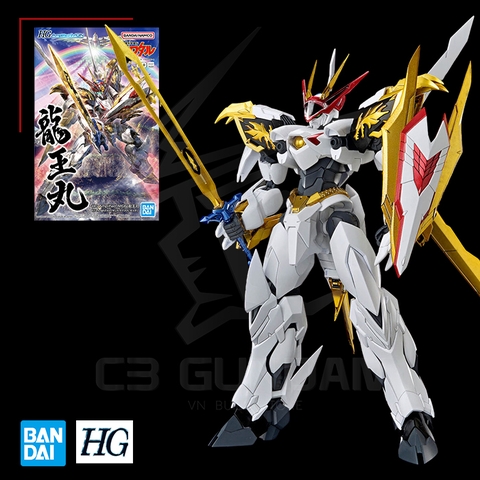 HG Amplified IMGN Ryuoumaru
