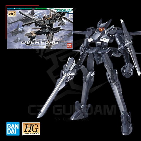 HG00 1/144 Over Flag