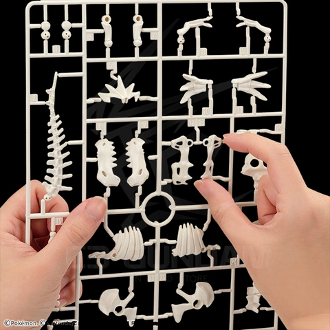 POKEMON PLASTIC MODEL COLLECTION FOSSIL Tyrantrum POKEMON PLAMO