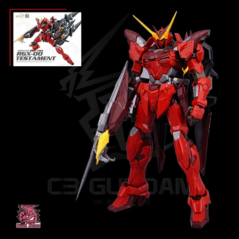 MG 1/100 DRAGON MOMOKO ZGMF-X12A GUNDAM TESTAMENT