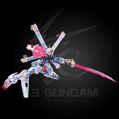 RG 1/144 CROSSBONE GUNDAM X1 (CLEAR COLOR)