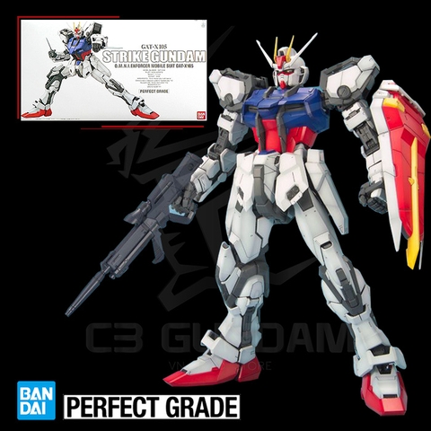 PG 1/60 GAT-X 105 STRIKE GUNDAM