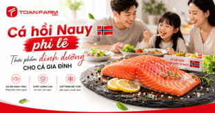 Cá hồi Nauy phi lê – thực phẩm dinh dưỡng cho cả gia đình