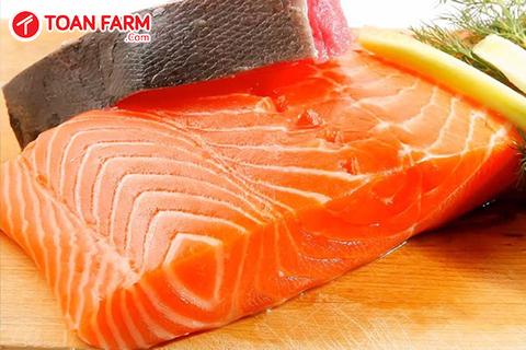 Cá hồi Nauy khác cá hồi Úc ở những điểm nào?