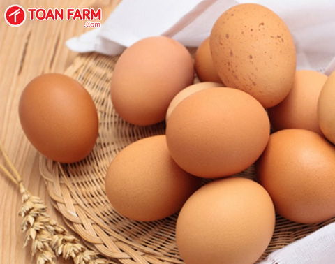 Giá trứng gà sạch chợ Đà Nẵng bao nhiêu?