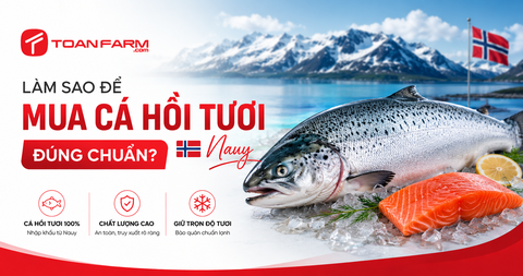 Làm sao để mua cá hồi tươi Nauy đúng chuẩn?