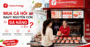 Mua cá hồi nauy nguyên con tại Đà Nẵng ở đâu?