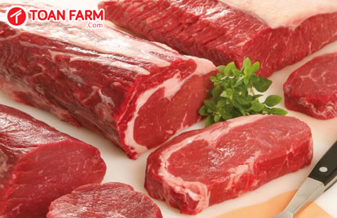 Mua thịt bò nhập khẩu Toàn Farm uy tín chất lượng