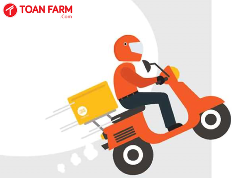 Siêu thị online giao hàng tận nhà cùng với Toàn Farm