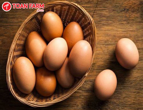 Ship trứng gà Đà Nẵng - thực phẩm sạch tiện ích mùa dịch