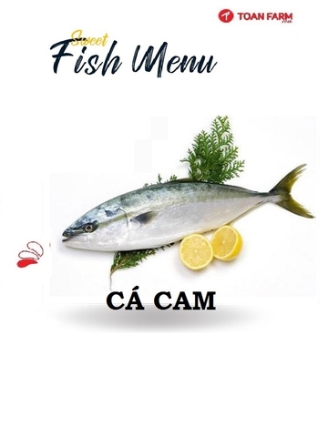 Cá Cam Nhật Bản