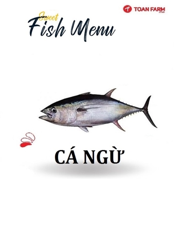 Cá Ngừ Bò Nhật Bản