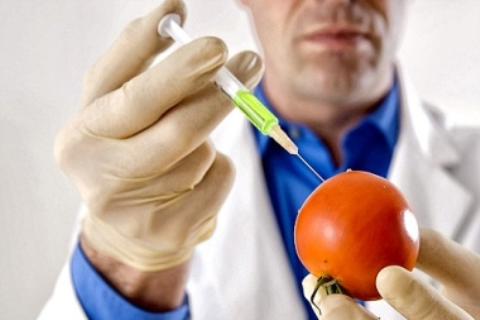 Ô nhiễm thực phẩm