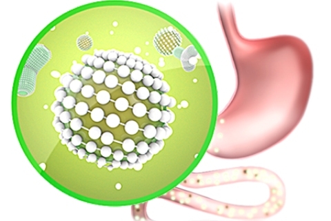 CƠ CHẾ HOẠT ĐỘNG CỦA PECTIN COMPLEX
