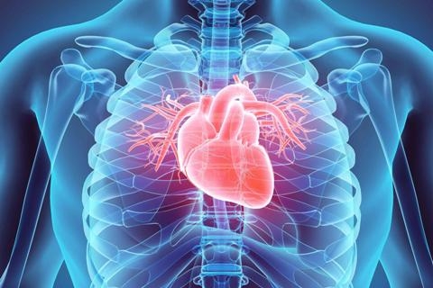 NHỮNG ĐIỀU CẦN BIẾT VỀ ĐỘC TỐ VÀ THẢI ĐỘC CHO CƠ THỂ