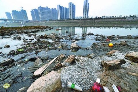 Sống trong môi trường ô nhiễm. Làm thế nào để duy trì sức khoẻ tốt