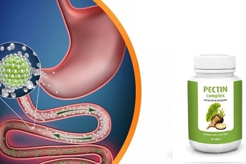 PECTIN COMPLEX hoạt động như thế nào khi đi vào cơ thể?