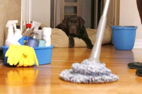 Thủ phạm tiềm ẩn trong nhà gây ung thư cho bạn và gia đình