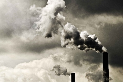 Ngộ độc suốt cuộc đời