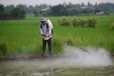 Ô nhiễm môi trường : Thủ phạm gây ra nhiều bệnh tật