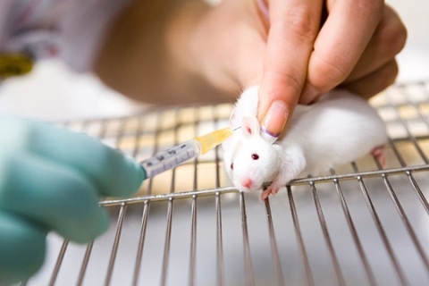 PECTIN đã chứng minh được hiệu quả sử dụng qua nhiều nghiên cứu lâm sàng