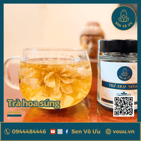 Trà hoa súng | Trà sen xanh Ai Cập | Sen Vô Ưu