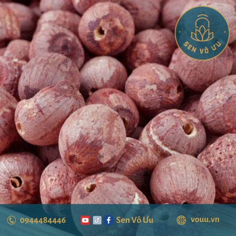 Hạt sen lứt 1 kg | Sen Vô Ưu