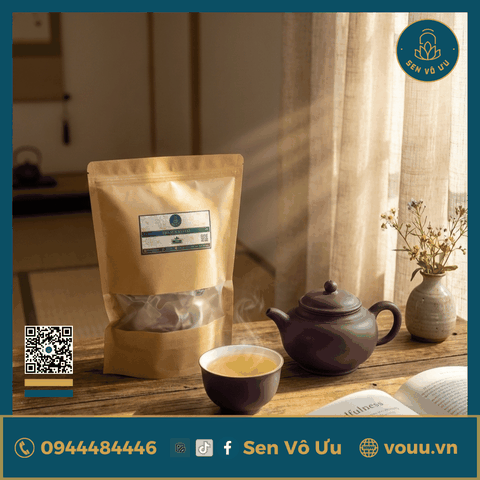 Combo Đoàn viên - An Khang | Sen Vô Ưu