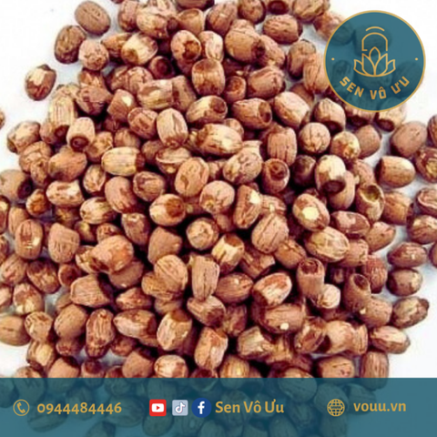 Hạt sen lứt 500gr | Sen Vô Ưu