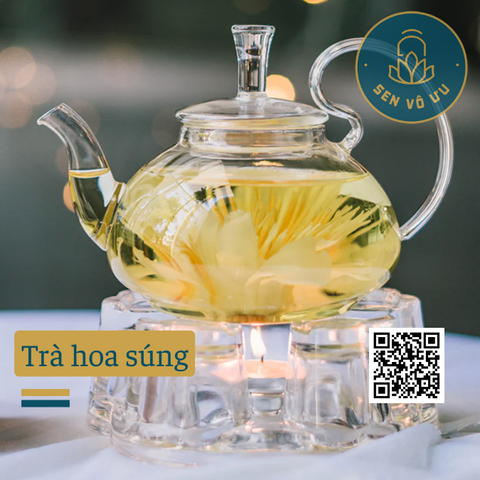 Trà hoa súng | Trà sen xanh Ai Cập | Sen Vô Ưu