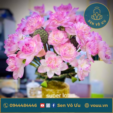 Bó 10 bông hoa sen Super lotus | Sen Vô Ưu