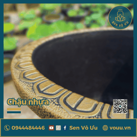 Chậu nhựa giả đồng nhập khẩu | Sen Vô Ưu