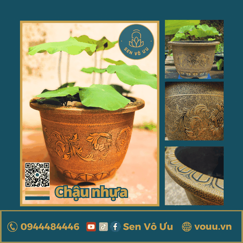 Chậu nhựa giả đồng nhập khẩu | Sen Vô Ưu
