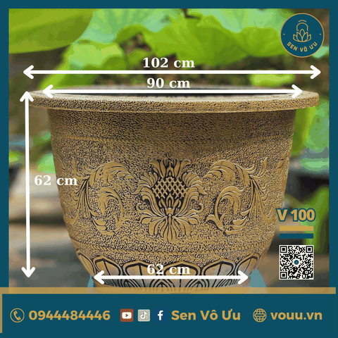Chậu nhựa giả đồng nhập khẩu | Sen Vô Ưu